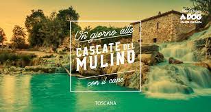 Prenota la tua vacanza con travellero. Un Giorno Alle Cascate Del Mulino Con Il Cane Zampa Vacanza