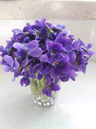 Pin On Violettes