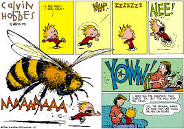 Calvin And Hobbes By Bill Watterson For June 21 1992 Gocomics Com Calvin And Hobbes Calvin And Hobbes Comics Fun Comics