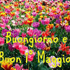 Festeggiamo il 1 maggio, festa del lavoro e della libertà, ma non dimentichiamo quelle vite spezzate. Https Encrypted Tbn0 Gstatic Com Images Q Tbn And9gcsbfxbfqfpdjmbbtey9apltixhwgw1jz0k90n9my Urbr18phqm Usqp Cau