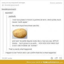 French Discovers Earth Apple Funsubstance Tumblr Funny Funny Pictures Funny Tumblr Posts