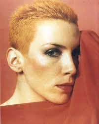 Annie Lennox Posed In Close Up In Red Background Photo Movie Star News Allposters Com In 2020 Blonde Hair Boy Short Shaved Hairstyles Short Hair Styles Pixie