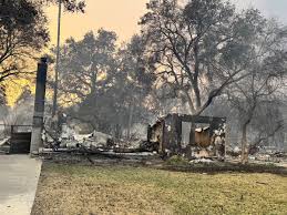 Fundraiser for Chelsea Bayouth by sarah ault : Raising Hope for Chelsea,  Tommy, and Valentine