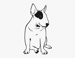 English Bull Terrier Sitting Line Drawing Hd Png Download Kindpng