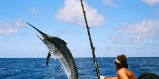 Macam ikan sarat dengan nutrisi penting, seperti protein dan. Beberapa Cara Efektif Mancing Ikan Besar Ini Pasti Akan Membuat Lo Strike Terus Bro