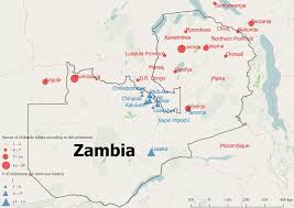 Image result for Platycoryne crocea