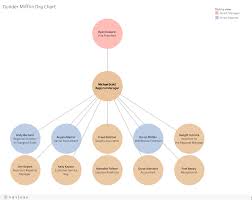 Organizational Chart Tableau Community Forums