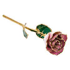 How long do gold dipped roses last? 24k Yellow Gold Dipped Rose Cream Pink