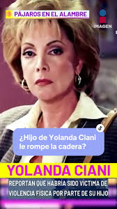 yolanda ciani memes｜Búsqueda de TikTok