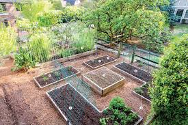 This Birmingham Couple Reaps 500 Pounds Of Produce From Their 600 Square Foot Garden In 2020 Square Foot Gardening Vegetable Garden Design Pole Bean Trellis