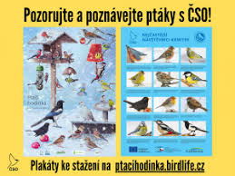 Akce ptačí hodinka, pořádaná českou ornitologickou společností, dnes skončila. Zname Vysledky Ptaci Hodinky 2021 Skokanem Roku Je Cizek Ceska Spolecnost Ornitologicka