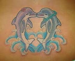 Looking For Unique Chris Harrison Tattoos Dolphins Tattoo Dolphins Tattoo Tattoo Dolphin Cartoon Tattoos