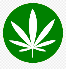 Cannabis Png Transparent Background Pot Leaf Png Clipart 606531 Pinclipart Download 46 pot leaf cliparts for free. transparent background pot leaf png