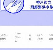 スマスイの旧ドメインで偽サイト オンラインカジノに誘導 | 毎日新聞