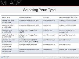 Chemical Texture Services Ppt Download