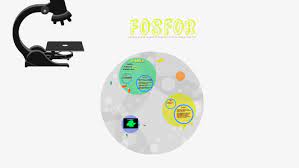 Skládá se z vysokomolekulárních řetězců a sítí. Fosfor By Nikol Kindlova