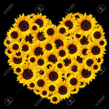 Shop over 700,000 unique canvas wall art prints. Heart Shape Floral Bouquet With Sunflower Flowers Isolated On Stock Photo Picture And Royalty Free Image Image 147359547