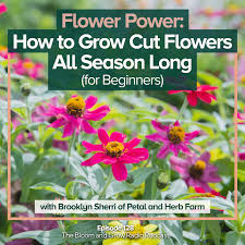 Maybe you would like to learn more about one of these? Flower Power How To Grow Cut Flowers All Season Long For Beginners Ep 128 Bloom Grow Radio