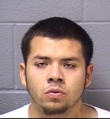 Romeoville Man Arrested as Raid Uncovers Drugs, Ammo in Bolingbrook