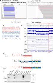 Contact a grants management specialist assigned to your institution. Evaluation Of Fgfr Targeting In Breast Cancer Through Interrogation Of Patient Derived Models Breast Cancer Research Full Text