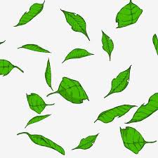  Leafs Vector Cartoon Leaf Leafs Png Transparent Clipart Image And Psd File For Free Download Cartoon Leaf Leaf Clipart Leaves
