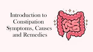 Image result for Constipation Causes