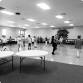 Line Dancing with Becky event image