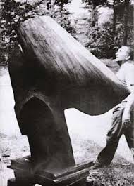 Bildergebnis für Roel D'Haese