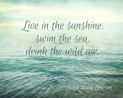 Live In The Sunshine Quote Ralph Waldo Emerson Quote Beach Etsy Emerson Quotes Beach Ocean Quotes Beach Quotes