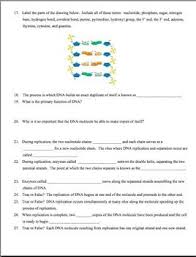 From genes to proteins (protein synthesis): Dna Protein Synthesis Worksheet Answers Promotiontablecovers