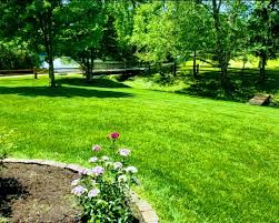 Our lawn care services will give you the perfect outdoor landscape you have always dreamed of, whether it be commercial or residential. Residential Lawn Care Coon Lawns