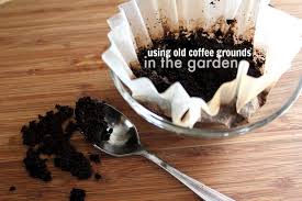 More on that in just a bit. 5 Fun Ways To Use Coffee Grounds In The Garden The Creek Line House