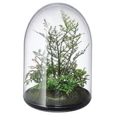 Invandig Artificial Terrarium Dome Ikea Terrarium Domes Artificial Potted Plants Artificial Plant Wall
