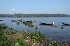 Spot mancing di danau saguling, kebetulan airnya sedang surut jadi jalan agak lumayan ke pedalaman danau, tapi l. Berita Harian Waduk Saguling Terbaru Hari Ini Kompas Com