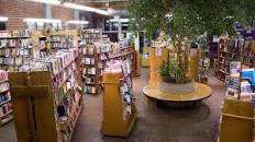 Image result for skylight books