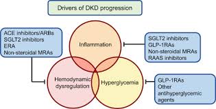 Renin splits angiotensinogen, a large protein that circulates in the. Finerenone A New Frontier In Renin Angiotensin Aldosterone System Inhibition In Diabetic Kidney Disease American Journal Of Kidney Diseases