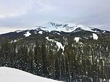 Check spelling or type a new query. Montana Wikipedia