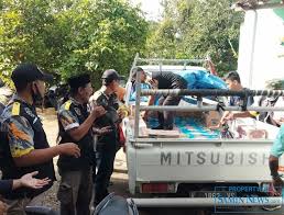 Srikaton popoh kayen pati +6281266961992 nageh janji nageh janji. Samin News Meski Harus Model Saweran Gmbi Juga Peduli Warga Terdampak Bencana Banjir