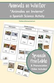 Listen to the audio pronunciation in the cambridge english dictionary. 170 Homeschool Spanish Ideas In 2021 Homeschool Spanish Homeschool Spanish