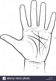 Chiromancy Chart Of A Palm Lines And Ways Eps 8 Stock