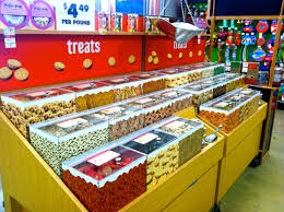 Search our extensive list of dogs, cats and other pets available near you. Pet Store Noma Dc Archives 2m Noma Apartments In D C