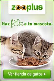 Pin En Mascotas