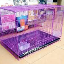 Harga kandang kucing tentunya beragam, tergnatung pada ukuran, model, hingga material yang dipakai. Harga Kandang Kucing Besar Terbaik Peliharaan Perawatan Hewan Hobi Koleksi Juni 2021 Shopee Indonesia