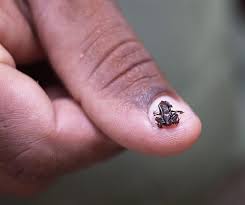 Pin On Frogs