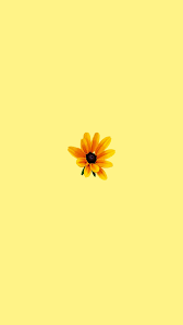Yellow Wallpaper Yellow Aesthetic Pastel Iphone Wallpaper Yellow Sunflower Wallpaper
