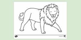 For boys and girls, kids and adults, teenagers and toddlers, preschoolers and older kids at school. Lion Colouring Sheet Health And Wellbeing