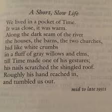 Taraskurtu On Twitter Love Me Some Elizabeth Bishop Poem Poetry Https T Co Rlvern3eed