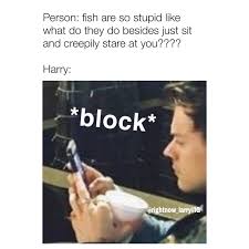 Adore You Meme Harry Styles Memes One Direction Memes One Direction Humor