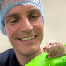 Ewan St. John Smith (@psalmotoxin)