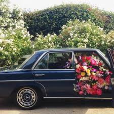 Via Brooke Williams Williams Williams Williams Williams Williams Williams Kiernan Beautiful Flowers Pretty Flowers Bloom